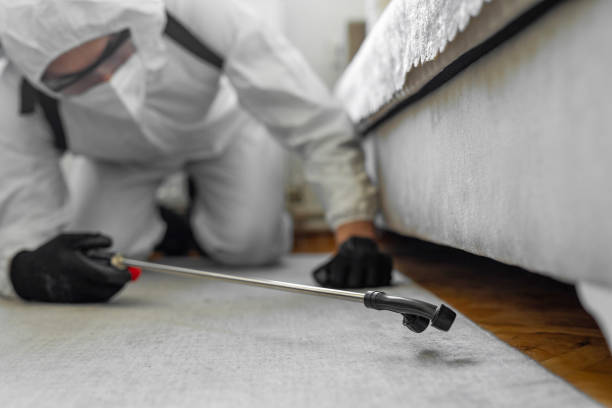 Professional Bed Bug Control technician working in Tutwiler, MS