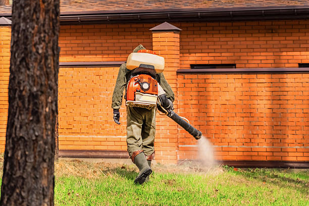 Trusted Bed Bug Control service in Tutwiler, MS - Nex Pest Control